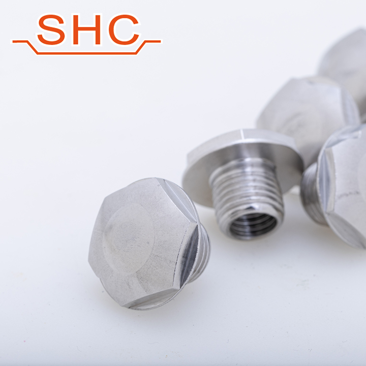 stainless steel customized bolt and nut
